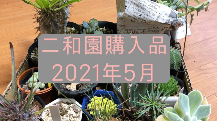 二和園多肉狩りの旅・購入品紹介(2021年5月)